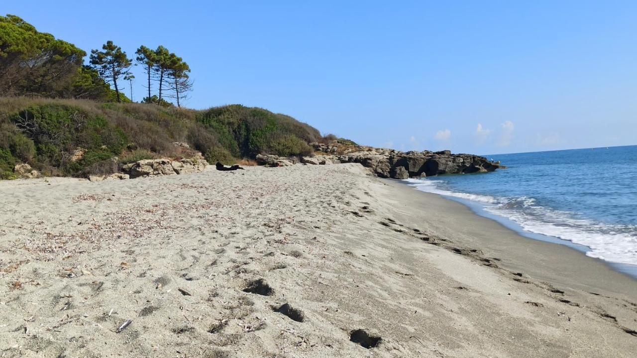 Les Jardins De La Mer Marine De Bravone - 2 Chambres A Lit Plus Sofa Avec Piscine A Cote Mer Linguizzetta Luaran gambar
