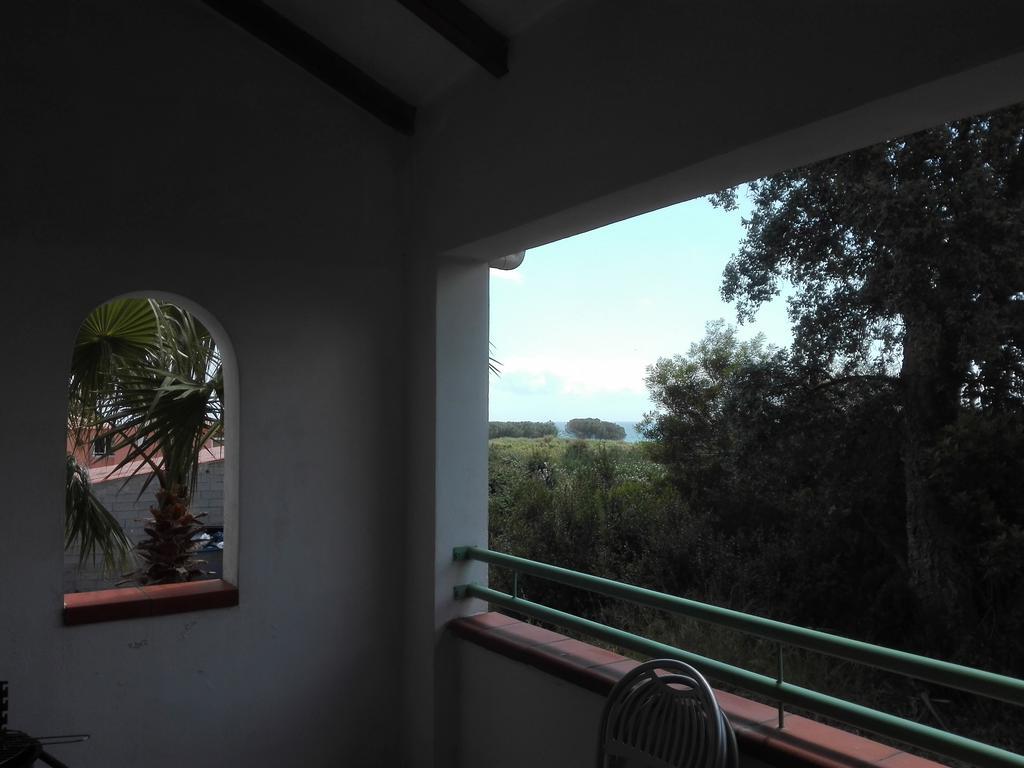 Les Jardins De La Mer Marine De Bravone - 2 Chambres A Lit Plus Sofa Avec Piscine A Cote Mer Linguizzetta Luaran gambar